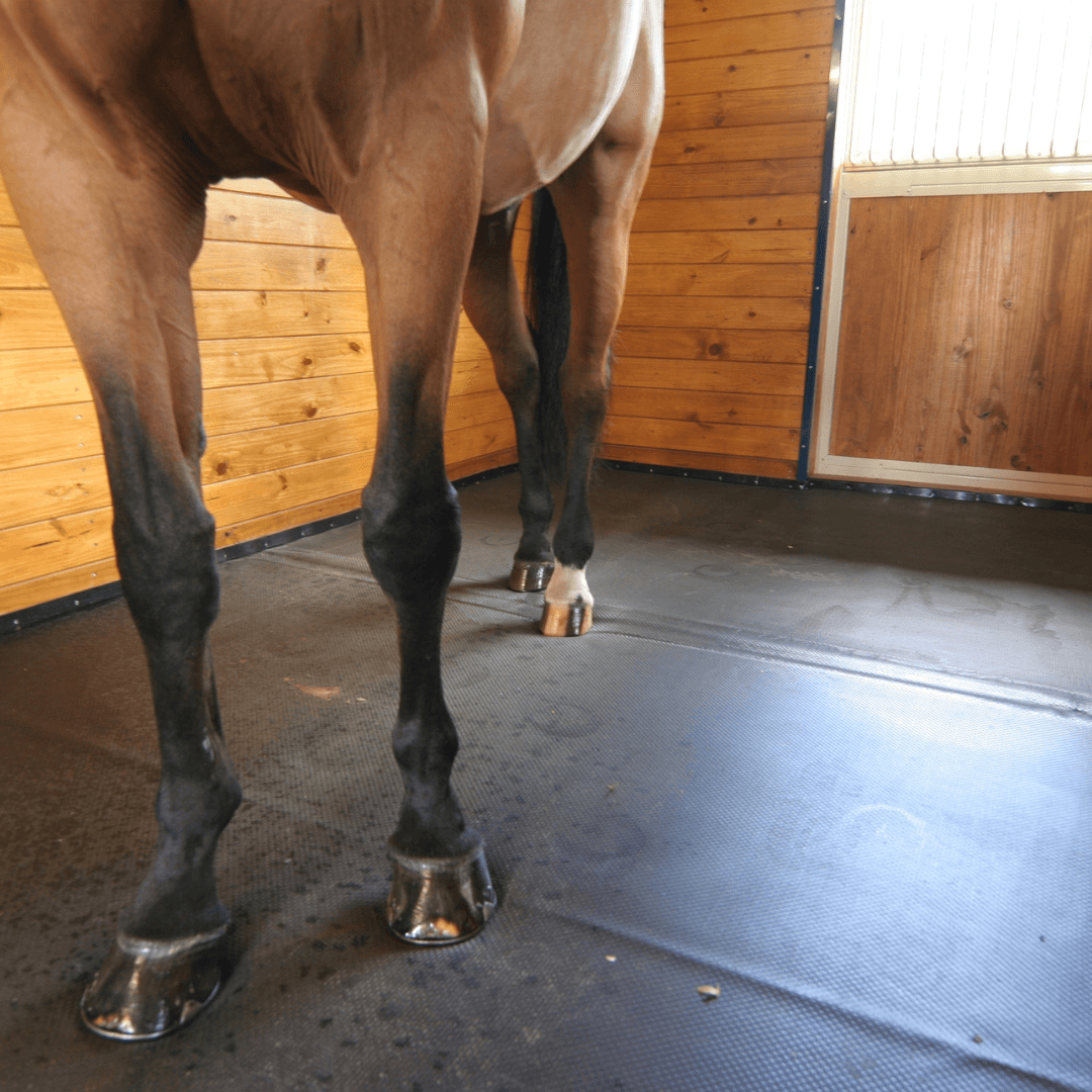 Horse Stall Mats Best Exercise Mat For Garage Rubber Mat Best