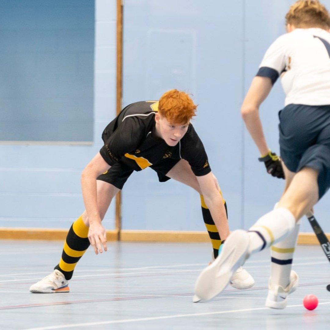 Hockey Skirting - Solid Beech Sports Skirting for Multipurpose Sports Halls Sprung Gym Flooring