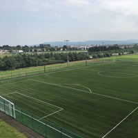 Thumbnail for 3G Pitch Sports Grass - Maracana 50 | Synthetic Turf Football Pitch System FIFA APPROVED