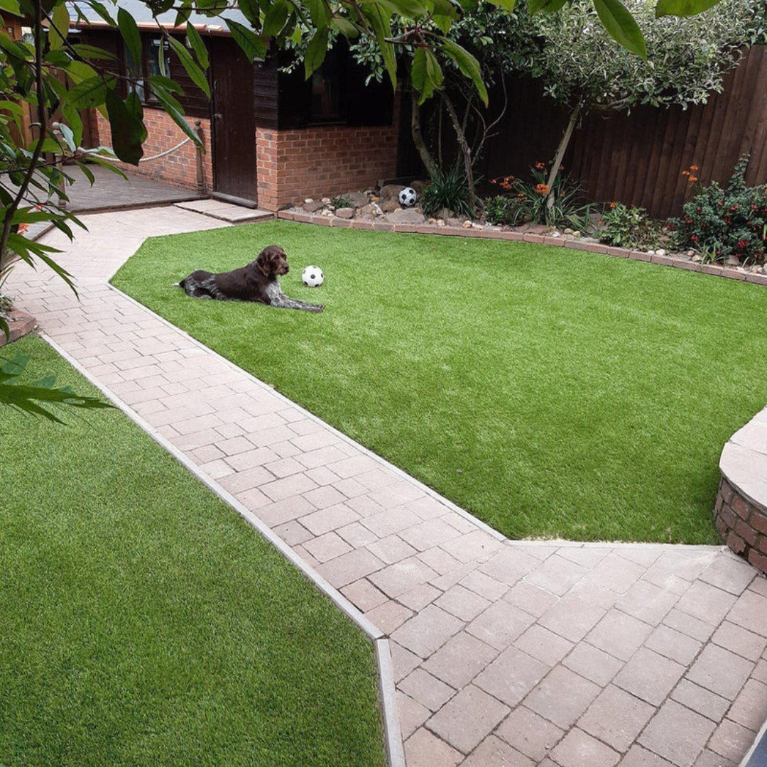 Pet Friendly Lawn Grass | Grass for Pet Areas/Doggy Day-Care/Kennels