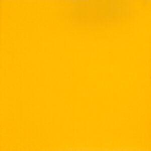 Vinyl Sports Flooring | Wheelchair Sports Vinyl Sports Flooring Sprung Yellow