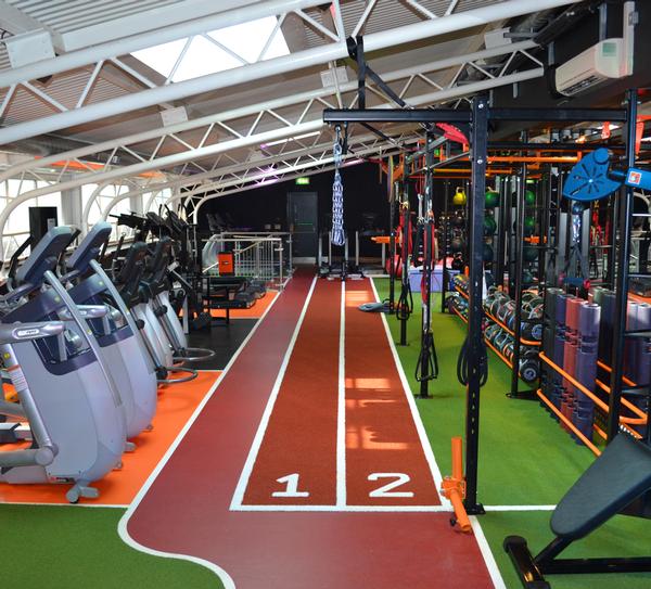 Functional Zones in Gym with Sprint Tracks and Different Colours of Gym Turf
