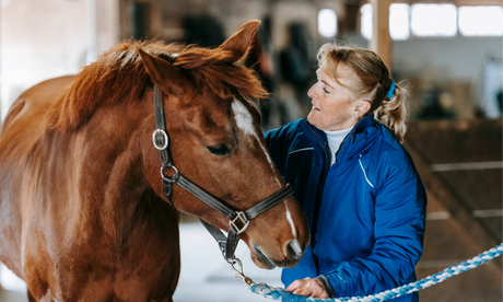 Horse Mats: 5 Key Reasons Why They’re Vital for Your Stable