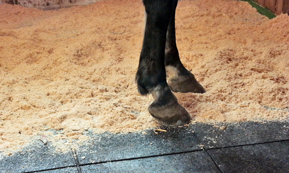 Equestrian Rubber Flooring: How to Choose the Right Matting for Your Stable [UPDATED]