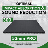 53mm Sprung PRO Rubber Anti-Shock Gym Mats