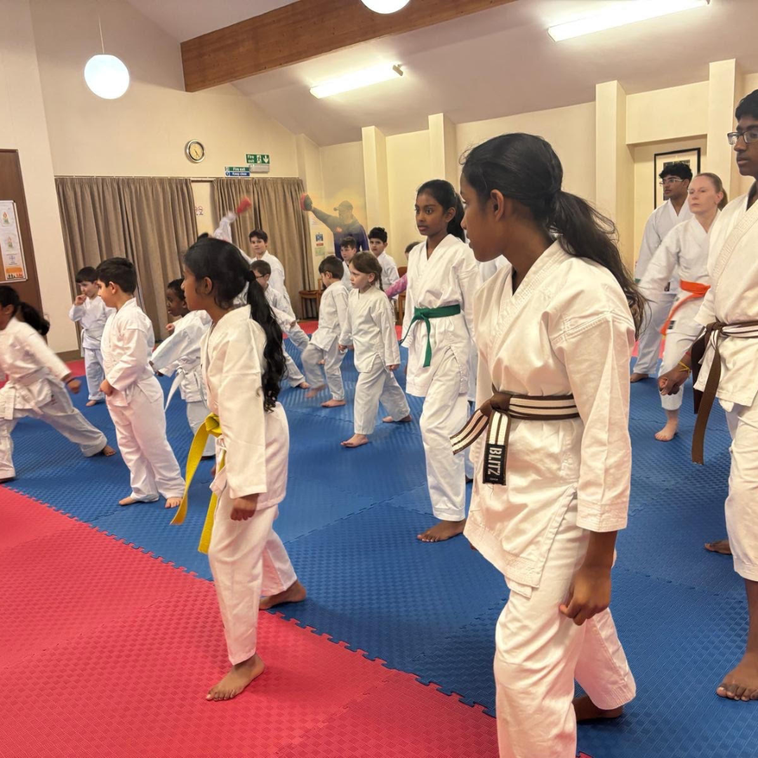 40mm Dojo Mats - 4 Colours | Reversible Design