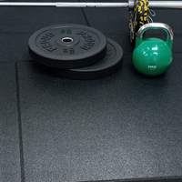 Thumbnail for 53mm Sprung PRO Rubber Anti-Shock Gym Mats