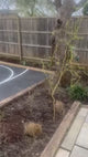 3 x 3 Basketball Court Modular Sports Flooring